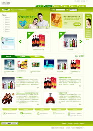 禮品精品企業(yè)版 傳誠信網站建設與模板建站，開啟品牌數字化轉型新篇章